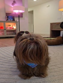 Poster for Birthday video from Georgie and Lukas