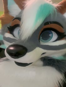 Poster for Pep Talk video from Zephyri Wolf