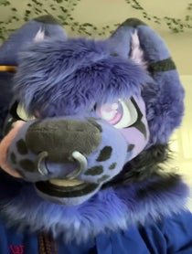 Poster for Birthday video from BlueJay