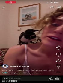 Poster for Intro video video from Martha Lady Sitwell