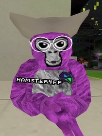 Poster for Other video from HamsterGT