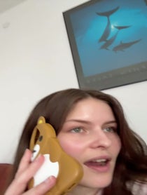 Poster for Other video from Erin
