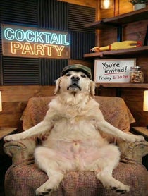 Poster for Other video from The Redneck Retriever