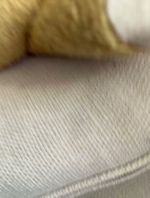 Poster for Birthday video from Jim Cummings