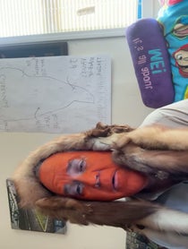 Poster for Other video from Perfect fake Trump