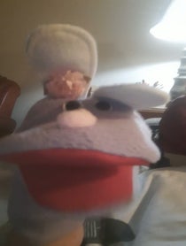 Poster for Other video from The Cranky Bunny