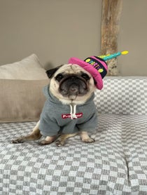 Poster for Birthday video from Puggy Smalls