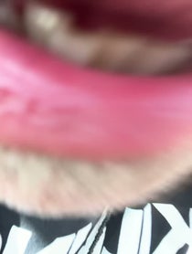 Poster for Birthday video from D Randall Blythe