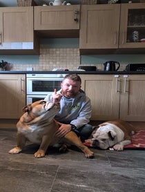 Poster for Advice video from Bulldogpabs
