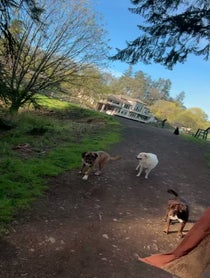 Poster for Birthday video from Lee Asher