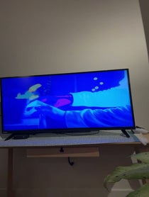 Poster for Other video from Mickey Dolan