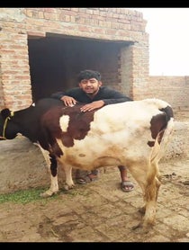 Poster for Other video from Birthday Singers