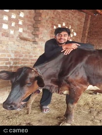 Poster for Intro video video from Birthday Singers