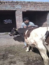 Poster for Birthday video from Birthday Singers