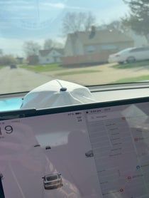 Poster for Other video from Nicky Netanyahu