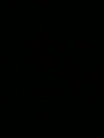 Poster for Birthday video from Baldwin W.