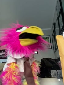 Poster for Birthday video from Chad the Bird