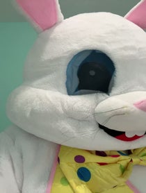 Poster for Birthday video from Michele the Easter Bunny