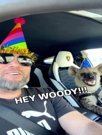 Poster for Birthday video from Eddie The Hyena