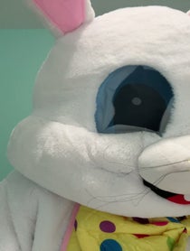 Poster for Other video from Michele the Easter Bunny