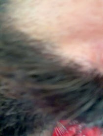 Poster for Pep Talk video from Shauhin Davari