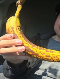 Poster for Roast video from bryansbajablast