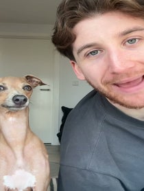 Poster for Birthday video from TrevortheIggy