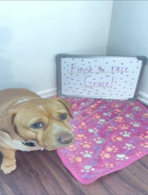 Poster for Pep Talk video from Cashew