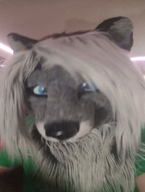 Poster for Other video from Cassidy Civet