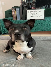 Poster for Intro video video from Darththedwarf