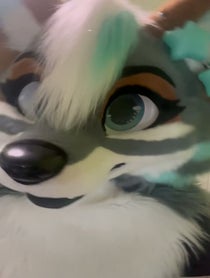 Poster for Pep Talk video from Zephyri Wolf