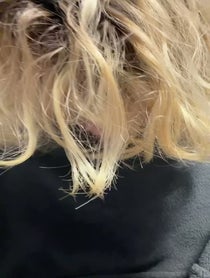 Poster for Advice video from yourfavouritebongos