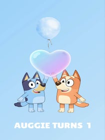 Poster for Birthday video from Bluey Custom Birthday Video