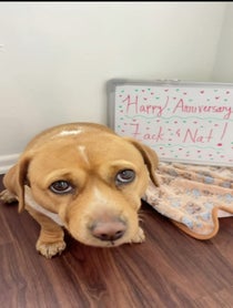 Poster for Other video from Cashew