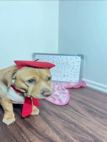 Poster for Pep Talk video from Cashew