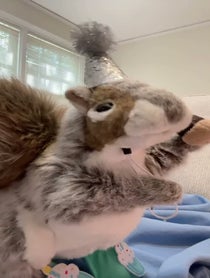 Poster for Birthday video from Nutella the Squirrel