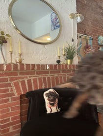 Poster for Birthday video from Bryan Perri