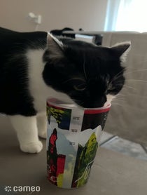 Poster for Intro video video from Pehely