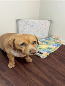 Poster for Mother's Day video from Cashew