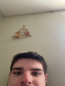 Poster for Other video from Worldoftshirts (Joshua Block)