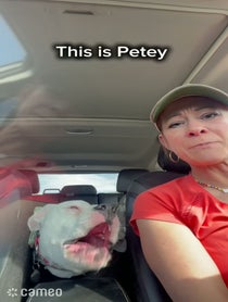 Poster for Intro video video from Petey the Singing Bulldog