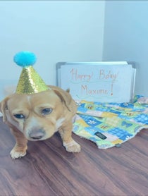 Poster for Birthday video from Cashew