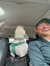 Poster for Advice video from Petey the Singing Bulldog