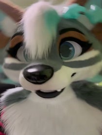 Poster for Pep Talk video from Zephyri Wolf