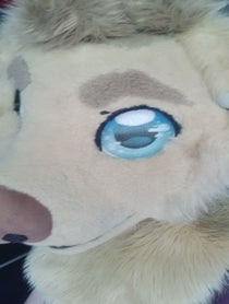 Poster for Roast video from Rex the Furry Dog
