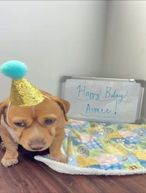 Poster for Birthday video from Cashew