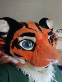 Poster for Birthday video from Jack Tiger