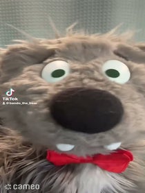 Poster for Intro video video from Bando the Bear