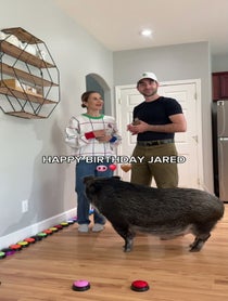 Poster for Birthday video from Merlin & Mina