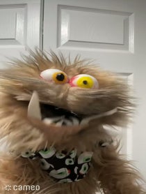 Poster for Intro video video from Scruffthepuppet